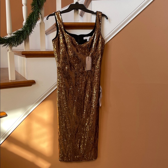 Striking NWT sequin sweetheart neckline Sz Med Anthropologie fully lined dress - Picture 5 of 14